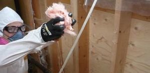 Mold Damage Restoration And Remediation