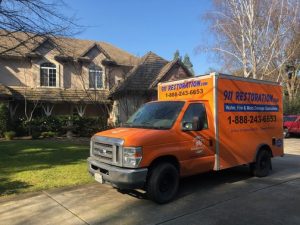 Mold Removal Saint Louis 